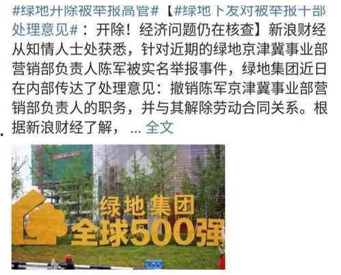 绿地史睿生最新爆料,揭秘绿地集团发展背后的故事 第2张 绿地史睿生最新爆料,揭秘绿地集团发展背后的故事 第2张